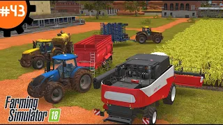 Фермерское обновление: Новое поле, новый комбайн и трактор в Farming Simulator 18 | Fs 18. #43