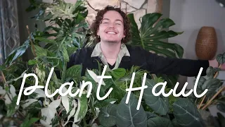 Unboxing My Biggest Plant Order! Plant Haul