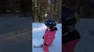 "Can you pull me" - cute toddler skiing #skiing #toddler #cute