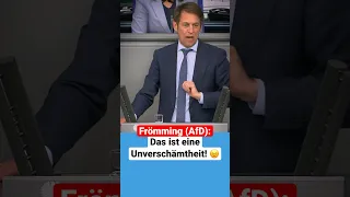 Das ist eine Unverschämtheit! 😡 #froemming #afd #bundestag