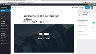 WordPress Gutenberg Editor Demo