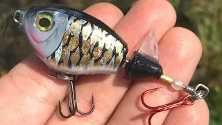 UltraLight Whopper Plopper | One Day Build to Catch