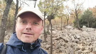 Tom Medjugorje | How to live in the Divine Will! This will change your life!