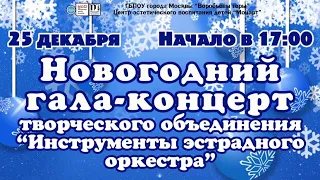 🎄Новогодний🎄 гала-концерт творческого объединения «Инструменты эстрадного оркестра»