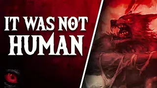 IT WAS NOT HUMAN - 9 SCARY STORIES OF DOGMAN ENCOUNTERS - What Lurks Beneath