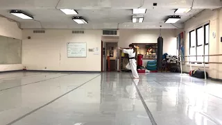 Sushiho / Kyokushin Kata Practice