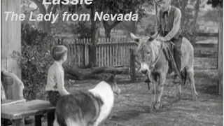 Lassie - Episode #318 - "The Lady from Nevada" - Season 9, Ep 27 - 04/14/1963