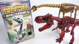 Honehone saurus Fukui Prefectural Dinosaur Museum SP "unboxing" Dinosaur Figure Japanese candy toys