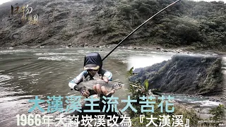 釣魚狂人4K  ，大漢溪，主流出水，濁轉清，礁石孤島釣苦花，世界長片 Stream Fishing Taiwan