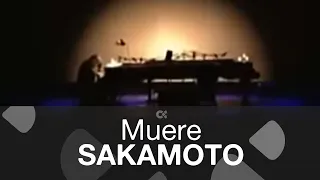 Muere el legendario músico y compositor japonés Ryuichi Sakamoto a los 71 años