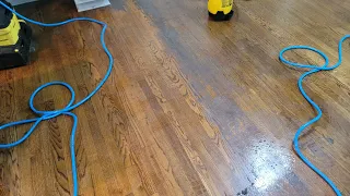 A MUST SEE | Extreme Wood Floor wax removal | Hardwood Cleaning-14 years of wax build-up