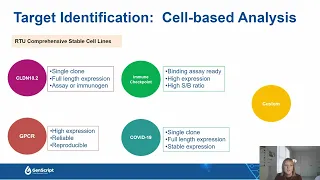 Highly Efficient Therapeutic Antibody Development Solution with Live Q&A