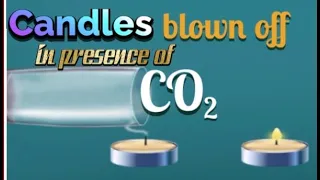 How the candles are blown off in presence of Carbon dioxide #science experiments for kids