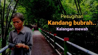 Pesugihan mewah!Lokasi Kandang bubrah bongkar rumah tiap tahun dan Tumbal wajib.