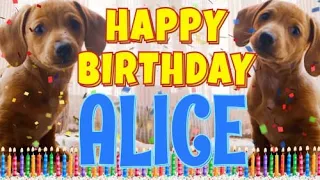 Happy Birthday Alice! ( Funny Talking Dogs ) What Is Free On My Birthday