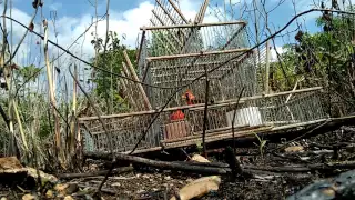 Pesca de rojos en los chenes