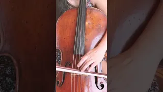 How High Can Cello Play?? 🤩