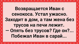 Иван Застал Жену на Печи Без Трусов! Сборник Свежих Анекдотов! Юмор!