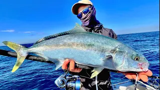 Sydney Yellowtail Kingfish - Offshore Kingie fishing