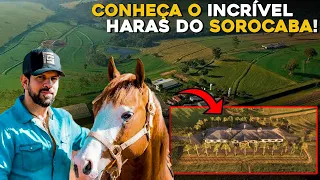 SOROCABA é o MAIOR criador de cavalos do BRASIL? - Rancho das Américas!