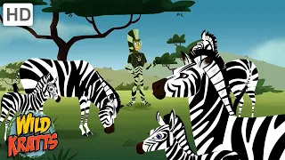 Wild Creature Camouflage | Zebras, Cheetahs, Octopuses + more! [Full Episodes] Wild Kratts