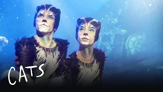 The Cats at the Jellicle Ball | Cats the Musical