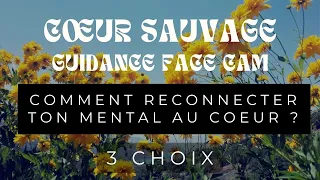 Guidance-soin à 3 choix - 💛 Comment reconnecter ton mental à ton coeur ? 💛