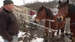 Ureče me babo pa petero djece sa četiri žene imam