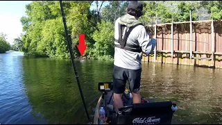 Summer Bass Fishing on the Chicago River | Tips for Clear Skies and Hot Weather