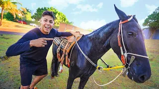 ESSE É MEU NOVO CAVALO 😍 ELE É ENORME