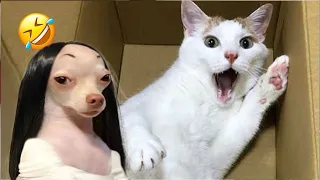 Funniest Animals 2024 🤣😅 New Funny Cats and Dogs Videos 😸🐶 Part 42