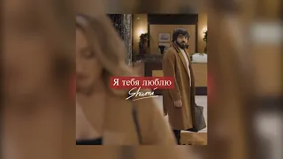 Shami - Я Тебя Люблю (Премьера трека) | 2022