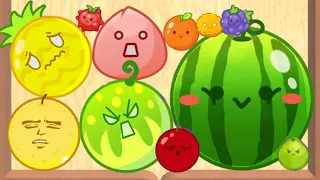 WATERMELON GAME - Merge Fruit 3D (Suika Game, Puzzle)