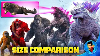 Shimo, Scar King, Godzilla, Kong, Suko, Doug Size Comparison || Godzilla X Kong: The New Empire