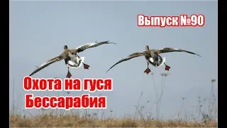 Охота на гуся в Бессарабии | Выпуск №90 (UKR)