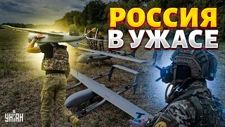 Россияне в ужасе от этой "птички"! ВСУ берут под контроль весь фронт. БПЛА Посейдон: первый обзор