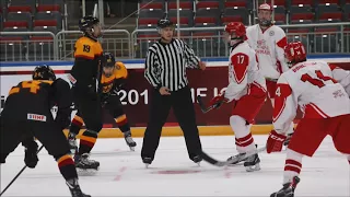 Gemany vs Denmark U18 highlights