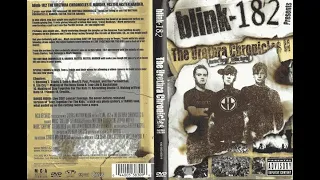 blink-182 - The Urethra Chronicles 2 (HQ, 50fps)