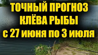 Прогноз клева рыбы на эту неделю с 27 Июня по 3 Июля. Календарь клева рыбы на Июль. Для рыбака