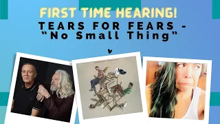 TEARS FOR FEARS - No Small Thing || FIRST TIME HEARING || Meh