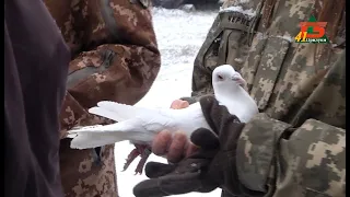 На сторожі миру і незалежності