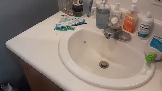 Tiny Scorpion in a Bathroom Sink, 7.4.2023