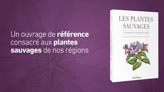 Les plantes sauvages. Les identifier, les connaître, les utiliser !