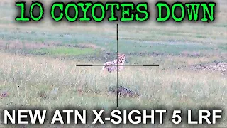 10 COYOTES DOWN | NEW ATN X-SIGHT 5 LRF COYOTE HUNTING FOOTAGE | 6MM ARC