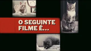 𝙃𝙐𝙀 𝙑𝙞𝙙𝙚𝙤 𝙋𝙧𝙤𝙙𝙪𝙘𝙩𝙞𝙤𝙣® - The Following Film is RESTRICTED | PT_BR - 70's