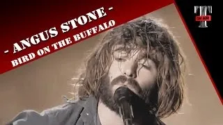 Angus Stone "Bird On The Buffalo" (Live on TV show Taratata)