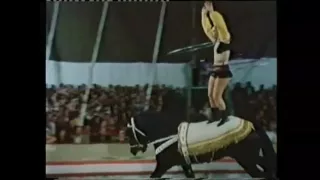 Хула-хупы на лошади. Надежда Романюк. Hula-hoops on the horse. Nadezhda Romanyuk.