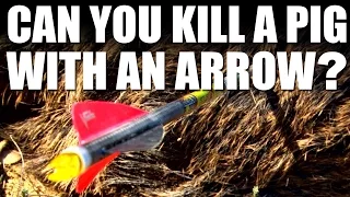 Can you kill a pig with an arrow?