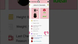 Pet App Prototype - WhiskerWatch (for cats)