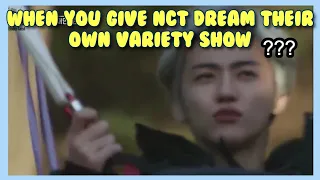When you give nct dream their own variety show